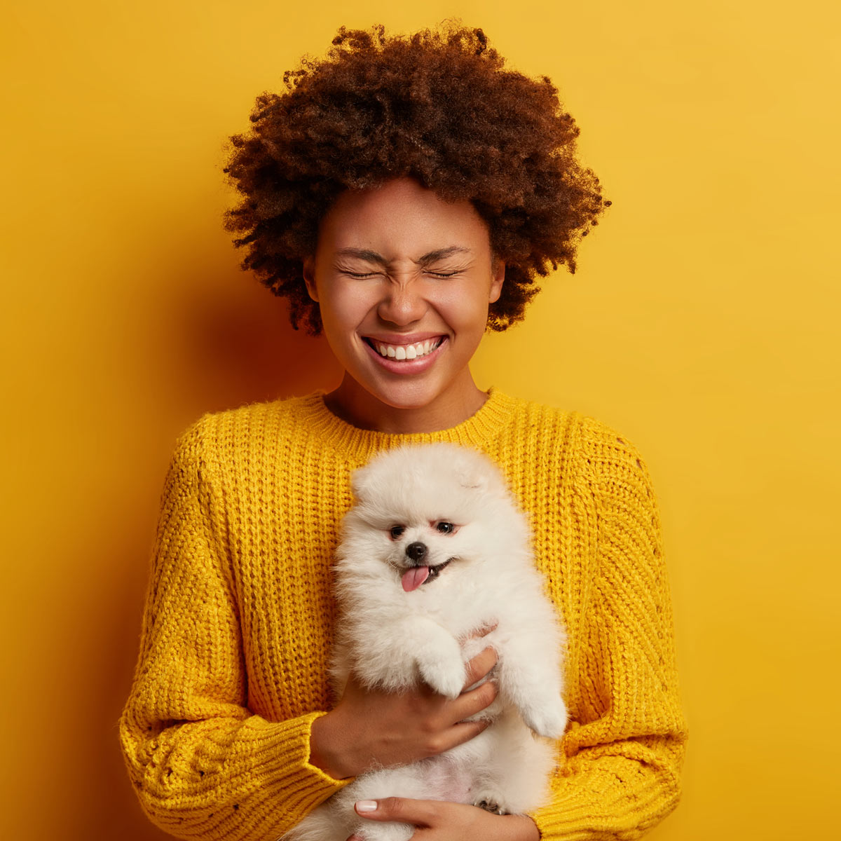 pets-and-you-online-free-products-offers-and-info-from-top-pet-brands